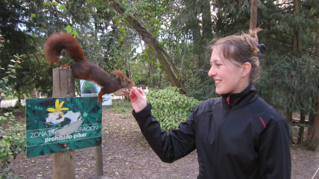 v parku krmím veverku